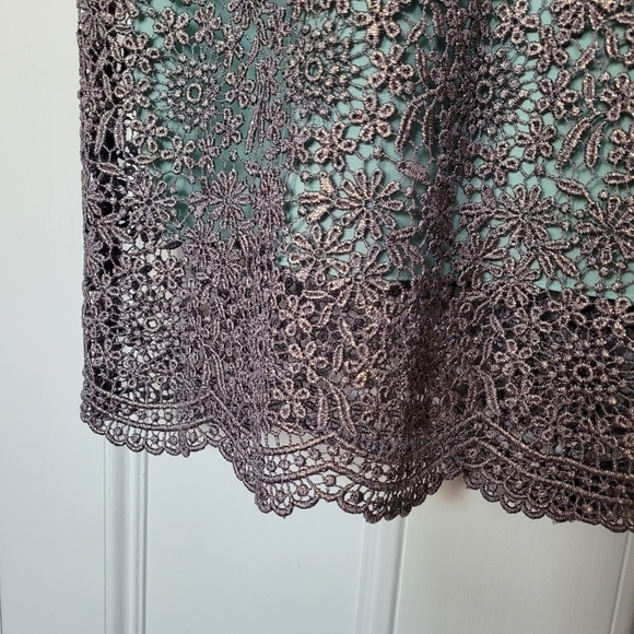 Shimmering Lace Dress - Picture 3 of 13